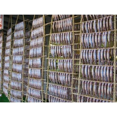 生干ししゃも　特大オス20尾　大メス10尾　セット