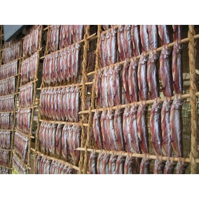 生干ししゃも「身が美味しい」オス40尾セット