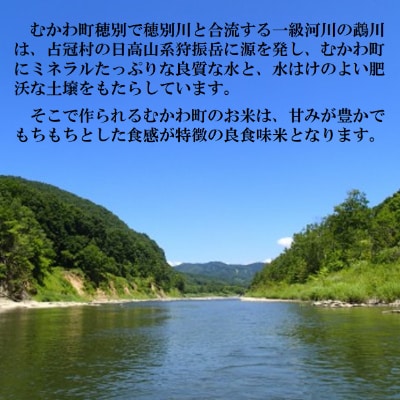 【令和6年産】12年連続特A受賞米!北海道むかわ町産ななつぼし 精米10kg