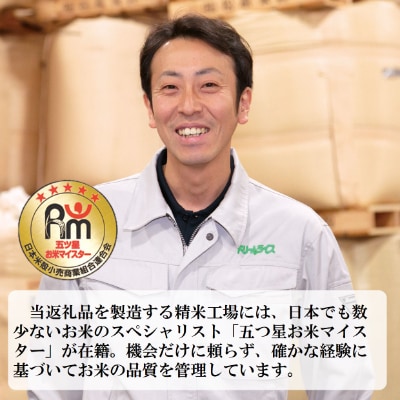 【令和6年産】12年連続特A受賞米!北海道むかわ町産ななつぼし 精米10kg