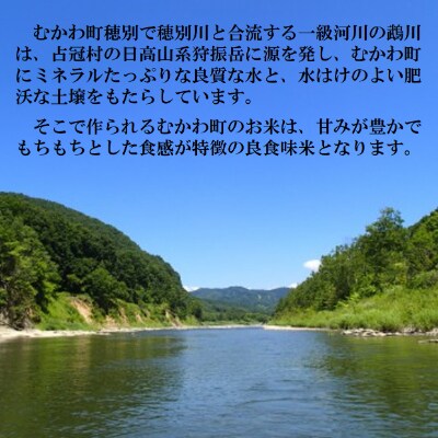 【令和5年産・11月以降順次発送開始】特A受賞米!北海道むかわ町産ななつぼし 精米10kg