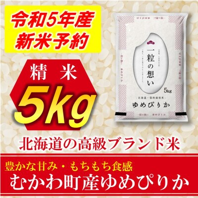 【令和5年産・11月以降順次発送開始】北海道のブランド米!むかわ町産ゆめぴりか　精米5kg