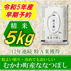 【発送月固定定期便】◆令和5年産先行受付◆特A受賞!北海道むかわ町産ななつぼし 精米5kg全6回