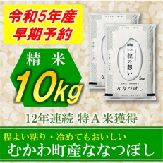 【発送月固定定期便】◆令和5年産先行受付◆特A受賞!北海道むかわ町産ななつぼし 精米10kg全6回