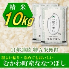 2022年3月発送開始『定期便』北海道むかわ町産 ななつぼし精米10kg 全3回【S-26】