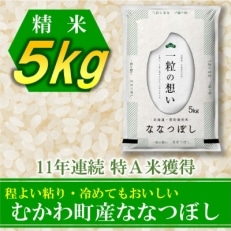 2021年10月発送開始『定期便』北海道むかわ町産 ななつぼし精米5kg 全12回【S-25】