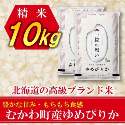 2022年1月発送開始『定期便』北海道むかわ町産 ゆめぴりか精米10kg 全6回【S-33】