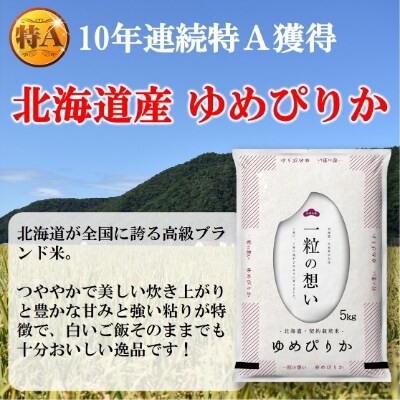 2022年1月発送開始『定期便』北海道むかわ町産 ゆめぴりか精米10kg 全6回【S-33】