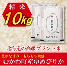 2023年6月発送開始 全6回『定期便』北海道のブランド米!北海道むかわ町産ゆめぴりか精米10kg