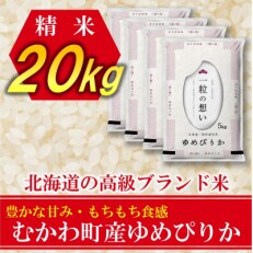 2023年5月発送開始 全6回『定期便』北海道のブランド米!北海道むかわ町産ゆめぴりか精米20kg