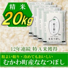 2023年1月発送開始『定期便』12年連続特A受賞米!北海道むかわ町産ななつぼし精米20kg全6回