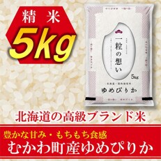2023年5月発送開始 全6回『定期便』北海道のブランド米!北海道むかわ町産ゆめぴりか精米5kg