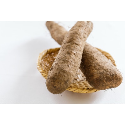 穂別だるまいも　約2kg(2～4本)