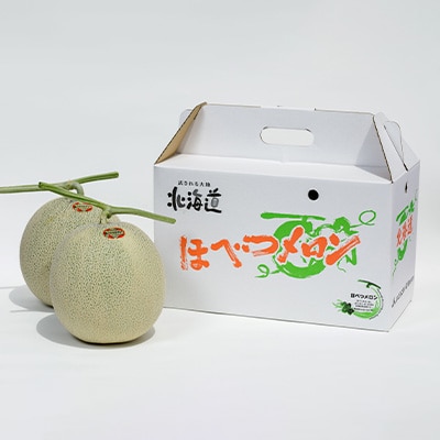 【2025年発送先行受付】ほべつメロン2玉(約1.6Kg×2玉)【むかわ町穂別特産品】
