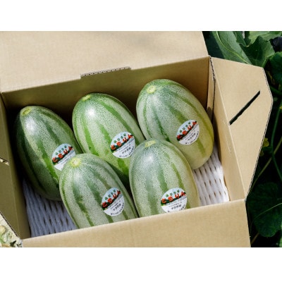 【2024年発送】ともりん(カンロ)4kg(4～5玉)【JAとまこまい広域取扱　むかわ町穂別特産品】