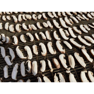 北海道むかわ町産　乾燥スライスしいたけ　100g×2袋セット(合計200g)