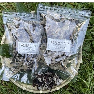 北海道むかわ町産　乾燥きくらげ　100g×2袋(合計200g)