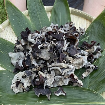 北海道むかわ町産　乾燥きくらげ　100g×2袋(合計200g)