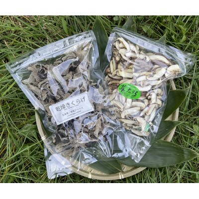 北海道むかわ町　乾燥スライスしいたけ1袋(100g)・乾燥きくらげ1袋(100g)2種食べ比べセット