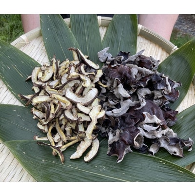 北海道むかわ町　乾燥スライスしいたけ1袋(100g)・乾燥きくらげ1袋(100g)2種食べ比べセット