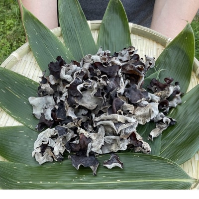 北海道むかわ町　乾燥スライスしいたけ1袋(100g)・乾燥きくらげ1袋(100g)2種食べ比べセット