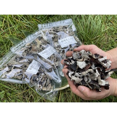 北海道むかわ町産　乾燥きくらげ　100g×3袋セット(合計300g)