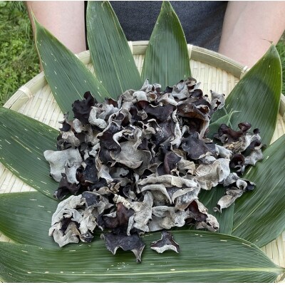 北海道むかわ町産　乾燥きくらげ　100g×3袋セット(合計300g)