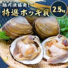 鵡川漁協発!特選ホッキ貝(2.5kg)
