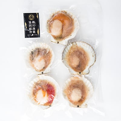 鵡川漁協発!天然片貝冷凍ホタテ貝(1.2～1.5kg)【2024年2月より順次発送】