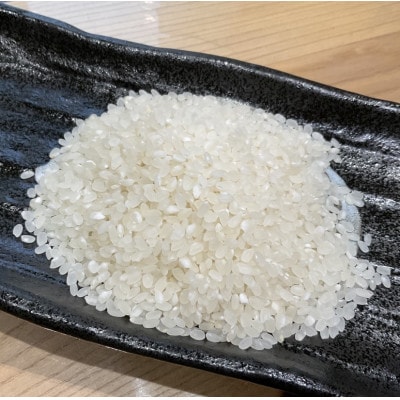【令和6年産】北海道むかわ町産きたくりん(精米)計15kg (5kg×1袋、10kg×1袋)