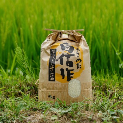 2023年1月発送開始『定期便』北海道むかわ町産　きたくりん(精米)5kg×1袋 全6回