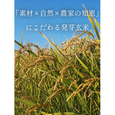 清流鵡川発 発芽玄米500g×5袋