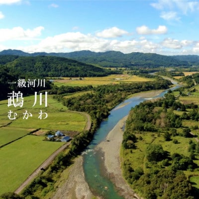 【返礼品なし】むかわ町応援寄附金