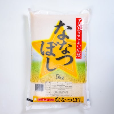 【毎月定期便】金王冠 JAとまこまい広域ななつぼし 5kg全2回