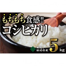 モチモチ食感　令和4年産　コシヒカリ　5kg | ふるさと納税のお礼品