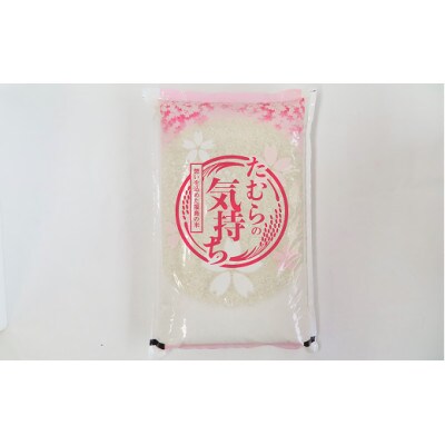 モチモチ食感 令和4年産 コシヒカリ 5kg