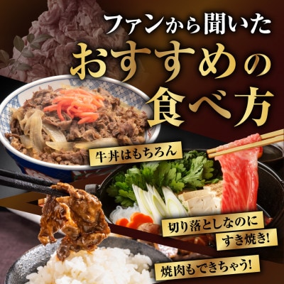 【毎月定期便】【 福島牛 】 黒毛和牛 切り落とし 700g ( 350g×2パック )全2回