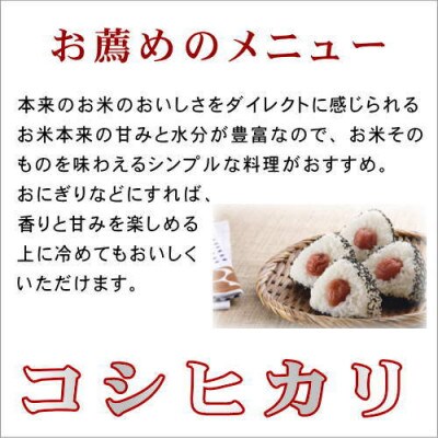 【令和6年産】田村コシヒカリ5kg