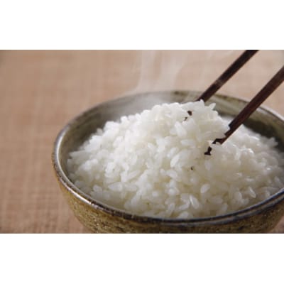 【令和6年産】田村市産天のつぶ10kg(5kg×2袋)