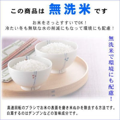 【無洗米】田村産コシヒカリ5kg 【令和6年産】