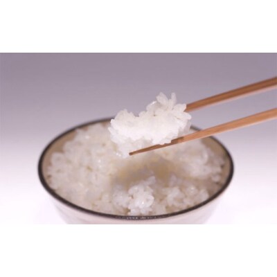 【無洗米】田村産天のつぶ10kg 【令和6年産】