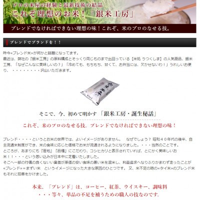 福島県田村産 これぞ理想のお米! 【無洗米】銀米工房10kg(5kg×2袋)【令和3年産】
