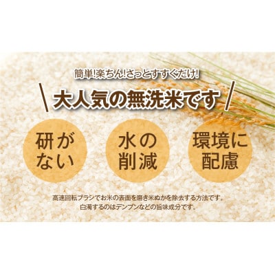 福島県田村産　これぞ理想のお米! 【無洗米】銀米工房10kg(5kg×2袋)【令和6年産】