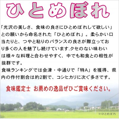 田村産ひとめぼれ10kg(5kg×2袋)