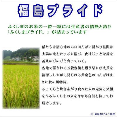 田村産ひとめぼれ10kg(5kg×2袋)