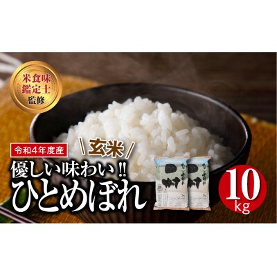 【玄米】 田村市産ひとめぼれ10kg(5kg×2袋)【令和6年産】