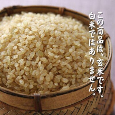 【玄米】 田村市産ひとめぼれ15kg(5kg×3袋)【令和6年産】