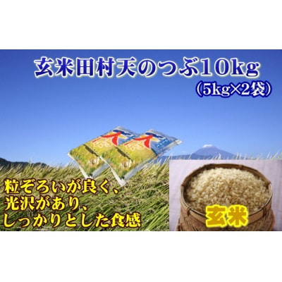 【玄米】 田村市産天のつぶ10kg(5kg×2袋)【令和6年産】