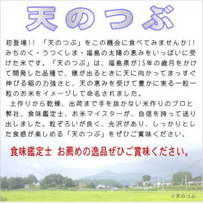 【玄米】 田村市産天のつぶ10kg(5kg×2袋)【令和6年産】