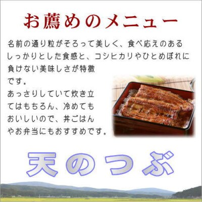 【玄米】 田村市産天のつぶ10kg(5kg×2袋)【令和6年産】